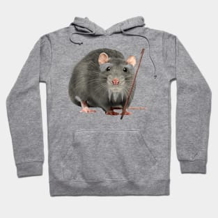 MASTER SPLINTER Hoodie